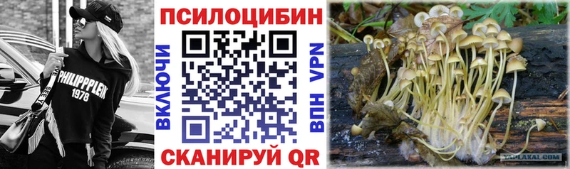 Галлюциногенные грибы прущие грибы Монино